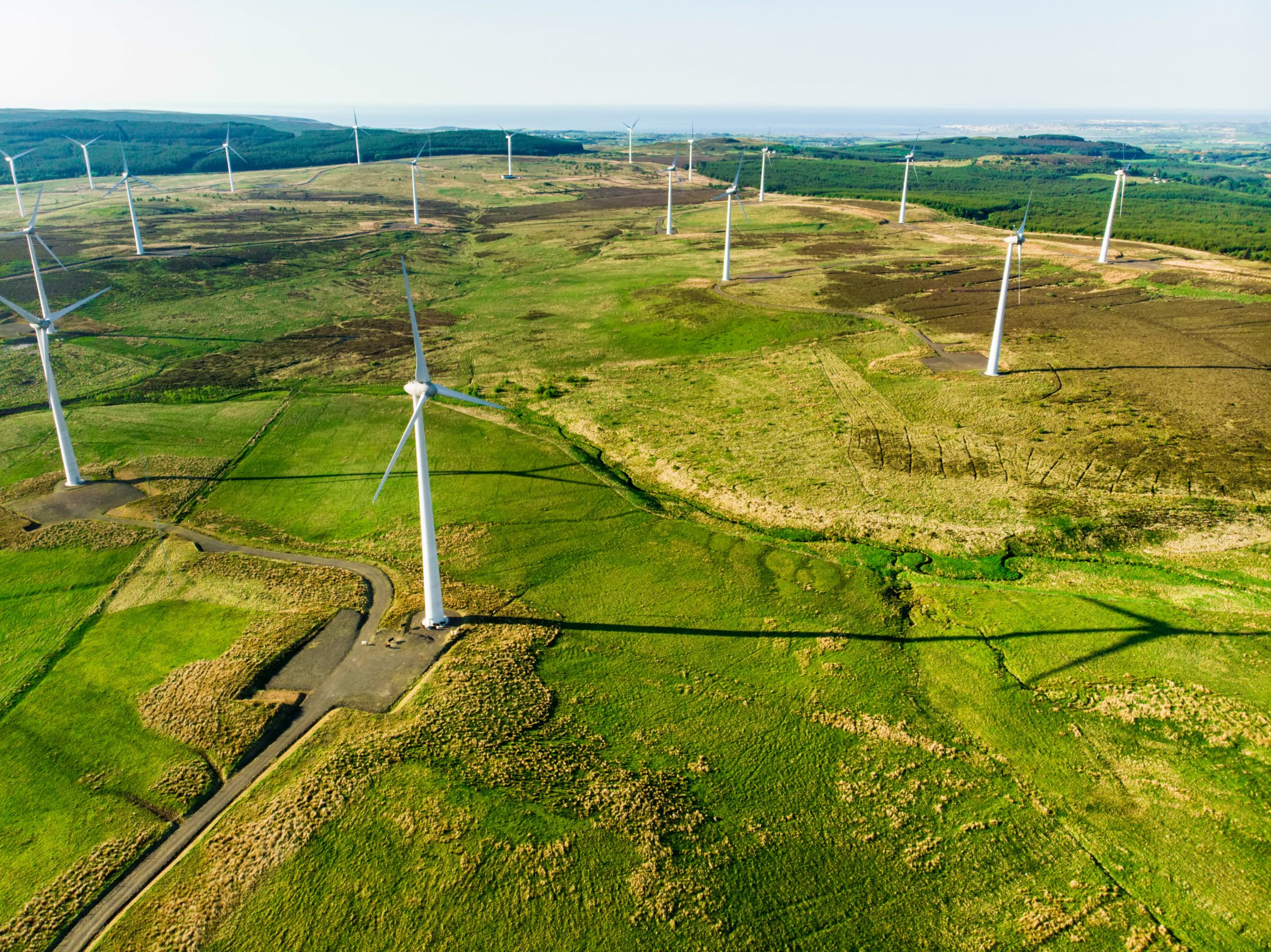 Wind farm featured on the GridPilot AI website